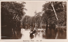 4902 28 Fiji, Spearing Fish. (Photo Card, Bottom Left A Fold) - Fidji