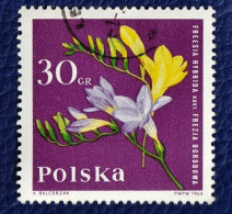 8 Timbres De Pologne "fleurs" De 1964 à 1974 - Variedades & Curiosidades