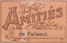 AMITIES DE PALISEUL - Paliseul