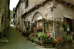 N°108080 -cpsm Saint Cirq Lapopie  - Saint-Cirq-Lapopie