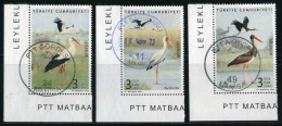 Türkiye 2020 Mi 4597-4599 Storks: White Stork, Yellow-Billed Stork, Black Stork, Birds, Animals (Fauna) - Used Stamps