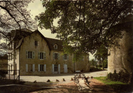 SAUZE VAUSSAIS - LE CHATEAU DU PUY D'ANCHE - Sauze Vaussais