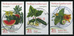 Türkiye 2021 Mi 4663-4665 Cucurbita (Cucurbit): Watermelon, Cucumber, Bitter Melon | Plants (Flora), Fruits - Oblitérés