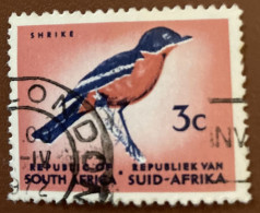 South Africa 1961 Bird Laniarius Atrococcineus 3 C - Used - Gebraucht