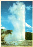 Yellowstone National Park Old Faithful Geyser - USA Nationale Parken