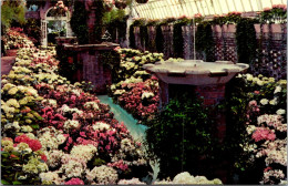 Pennsylvania Pittsburgh Phipps Conservatory Spring Flower Show Lavender And White Garden - Pittsburgh