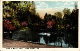 Washington Tacoma Scene In Wright Park - Tacoma