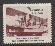 Italy Cinderella Vignetta Erinnofilia ,1925 Il Gennariello Di De Pinedo,mint Never Hinged, - Aufkleber