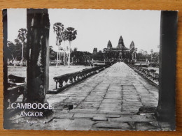 CAMBORGE - Angkor - Vat - Cambodge