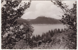 Edersee Mit Blick Auf Das Schloß Waldeck - (Deutschland) - Edersee (Waldeck)