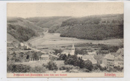 5372 SCHLEIDEN, Promenade Nach Blankenheim, Verlag Häussler - Köln - Schleiden