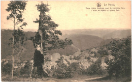 CPA  Carte Postale  Belgique Le Hérou Vieux Chêne Foudroyé Pour La Troisième Fois 1920   VM69791ok - La-Roche-en-Ardenne