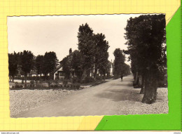 SAINT POL Sur MER Cité Des Cheminots  Avenue Edmond Flamand - Saint Pol Sur Mer