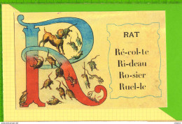 BUVARD & Blotting Paper : R Rat  Beau Graphisme - Animaux