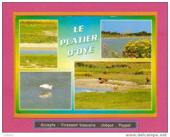 OYE PLAGE  Le Platier D'Oye   Multivues    & Ref :  118/3658 - Oye Plage