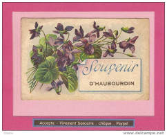 CPA :Souvenir D'HAUBOURDIN    Ref : 128/3844 - Haubourdin