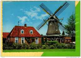 OMMEN : Molen Op De Oord Met Oudheidkamer Propriete Avec Le Moulin - Ommen