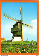 HONDSCHOOTE : Moulin A Vent Molen Vercruyce A Hondschoote - Hondshoote