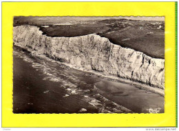 CAP BLANC NEZ VUE AERIENNE - Wissant