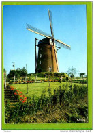 STEENVOORDE  Moulin Saint  Arnould - Steenvoorde