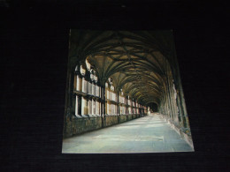 62847-             ENGLAND, WELLS CATHEDRAL, SOMERSET, THE CLOISTERS - Wells