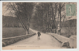 VIDAUBAN - VAR - L'AVENUE D'ASTROS - Vidauban