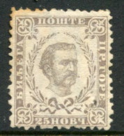 MONTENEGRO 1879  25n. 2nd Issue Irregular Perf. 12 Unused Without Gum (*),with Complete R Of Wmk  SG 14B , Michel 7 II B - Montenegro