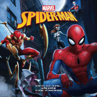 Spiderman 2019 Wall Calendar - New & Sealed - Grand Format : 2001-...