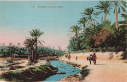 ALGERIE - Chemin Dans L'Oasis - Colorisé - Animé - Palmiers - Carte Postale Ancienne - Szenen