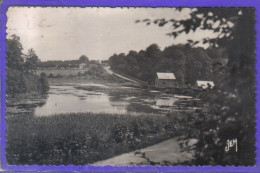 Carte Postale 59. Solre-le-Chateau  L'étang De Borzies  Très Beau Plan - Solre Le Chateau