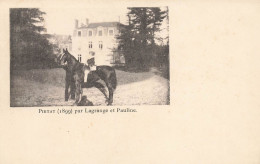 St Léonard Des Parcs * PIETAT ( 1899 ) Par Lagrange & Pauline * Cheval Race Haras Hippisme Hippique * Château - Sonstige & Ohne Zuordnung