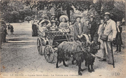 76-LE-HAVRE- SQUARE SAINT-ROCH- LA VOITURE AUX CHEVRES - Non Classés