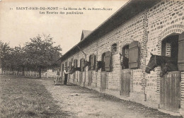 St Pair Du Mont , Cambremer * Haras De M. DE SAINT ALARY , Les écuries Des Poulinières ( NOMS DE CHEVAUX Au Dos ) - Other & Unclassified