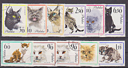 Polen 1332 - 1341 Katze Chats Gato Cat Cot Animal Perserkatze Gestempelt Used - Altri & Non Classificati