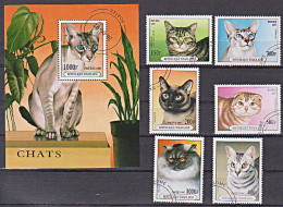 Togolaise Rebublik Katze Chats Gato Cat Cot Animal Perserkatze Gestempelt Used - Tokelau