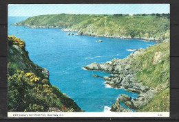 GUERNESEY. Carte Postale écrite. Scenery From Petit-Port. - Guernsey