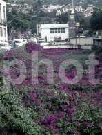 10 SLIDES SET FUNCHAL MADEIRA PORTUGAL 35mm DIAPOSITIVE SLIDE NO PHOTO FOTO NB2648 - Diapositives