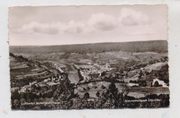 5526 BOLLENDORF, Blick Auf Den Naturschutzpark Und Luxemburg, 1959 - Bitburg