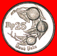 * NUTMEG (1991-1996): INDONESIA  25 RUPIAH 1992 MINT LUSTRE!·  LOW START · NO RESERVE! - Indonésie