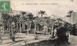 ALGERIE -Scènes Et Types - Une Rue Dans La Palmeraie - Collection Idéale PS - Carte Postale Ancienne - Escenas & Tipos