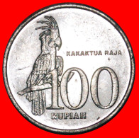 * BIRD (1999-2005): INDONESIA  100 RUPIAH 2003 MINT LUSTRE! ·  LOW START · NO RESERVE! - Indonésie