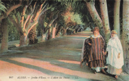ALGERIE - ALGER - Jardin D'Essai - L'Allée Des Yuccas - LL - Colorisé - Carte Postale Ancienne - Alger