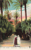 ALGERIE - ALGER - Jardin D'Essai - L'Allée Des Yuccas - LL - Colorisé - Carte Postale Ancienne - Algerien