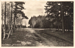 ALLEMAGNE - Dresden - Dippoldiswalde - Motiv Aus Der Heide - Carte Postale Ancienne - Dresden