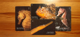 Phonecard Set Jersey 65JERA, 65JERB, 65JERD, 80JERA - Underwater Life - [ 7] Jersey Und Guernsey