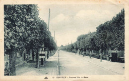 FRANCE - Suippes - Avenue De La Gare - Allée - Carte Postale Ancienne - Châlons-sur-Marne