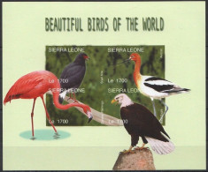 Sierra Leone 2004 MNH Imperf SS, Birds, Snail Kite, American Avocet, Bald Eagle, American Flamingo - Flamingo's