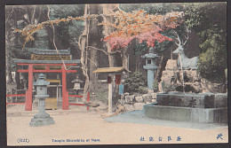 Nara Temple Shirashika Japan Nippon Hirsch Statue Brunnen Quelle Water - Nagoya