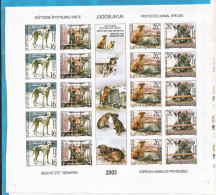 YU -SEC - 5   2003  JUGOSLAWIEN  CANI HUNDE GESCHNITTEN  VORDERSEITE-RETRO RRR SEHR SELTEN  MNH - Sin Dentar, Pruebas De Impresión Y Variedades