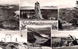 ALLEMAGNE - FELDBERG - Schwarzwald - Carte Postale Ancienne - Other & Unclassified